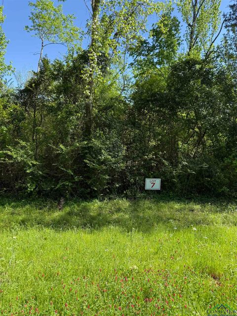 Homes For Sale - TBD LOT 7 S Fm 839<br/> Rusk County, Henderson, TX 75652