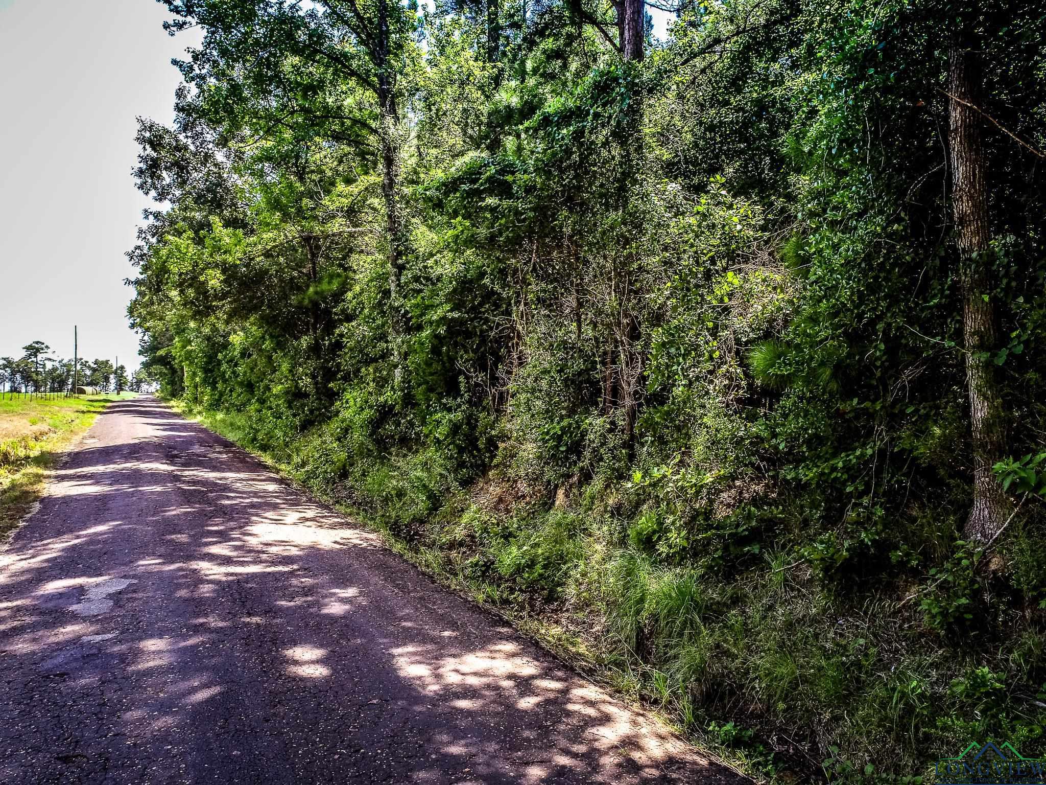 LOT 1 Honeysuckle Rd, Gilmer, Texas image 8