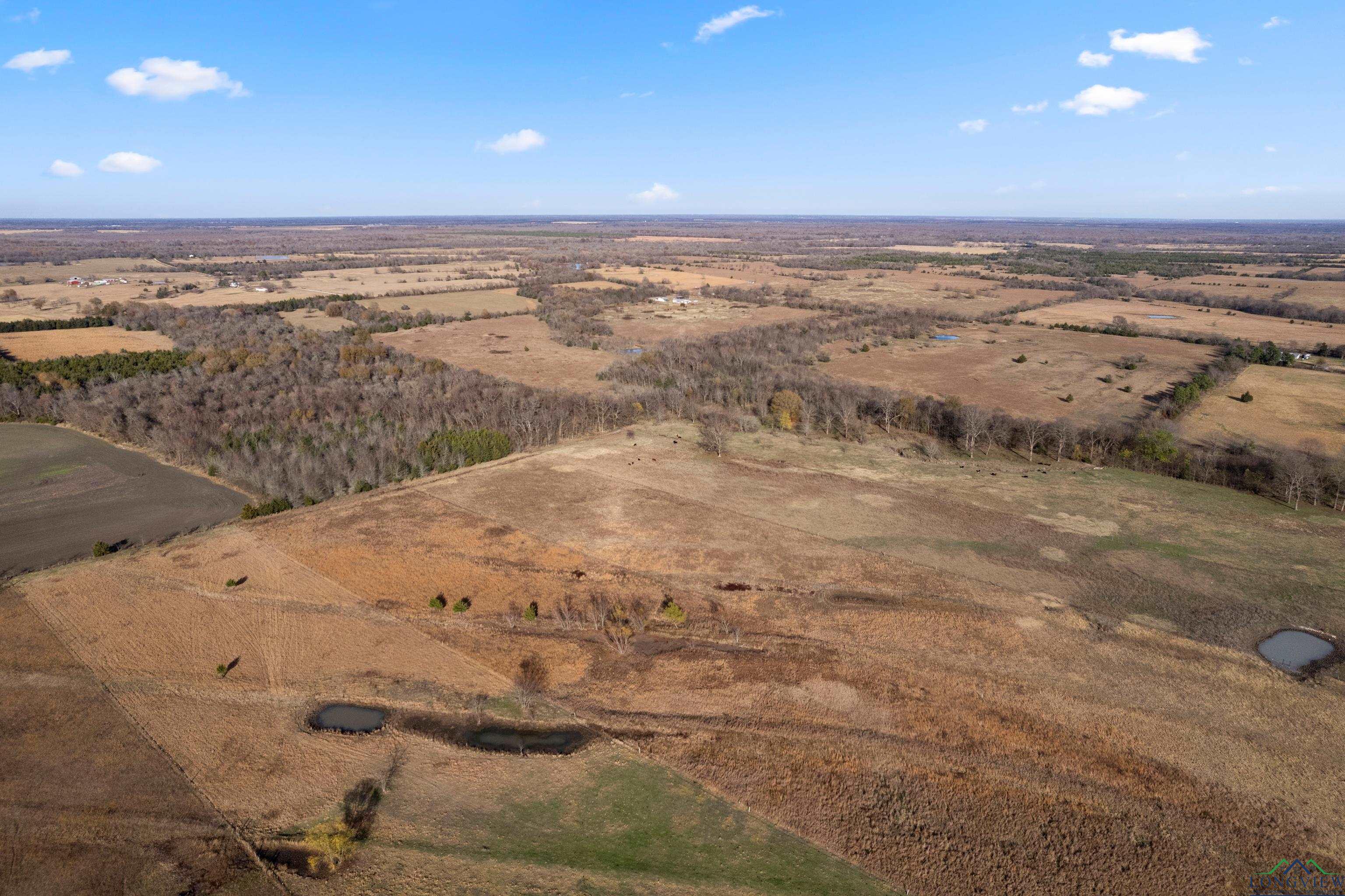 592 Cr 15160, Blossom, Texas image 18