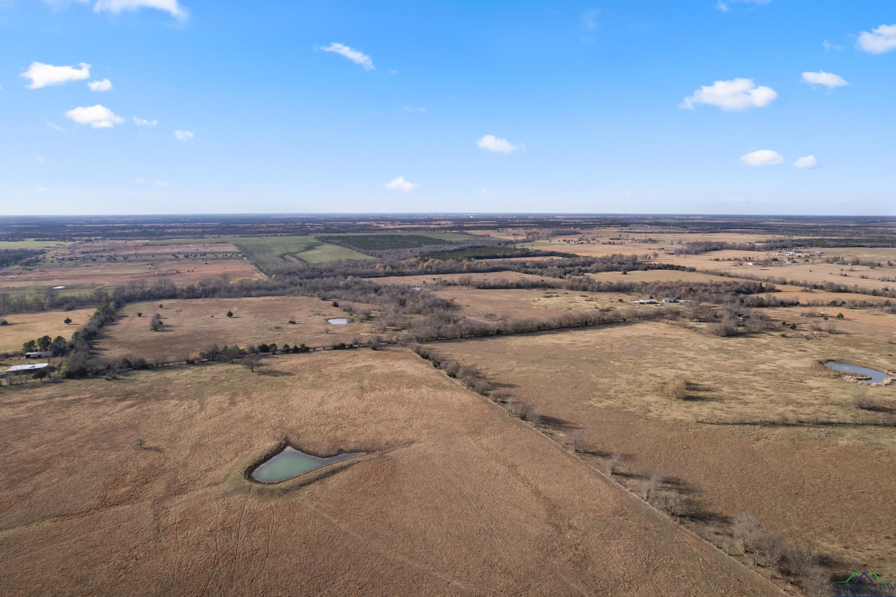 592 Cr 15160, Blossom, Texas image 15