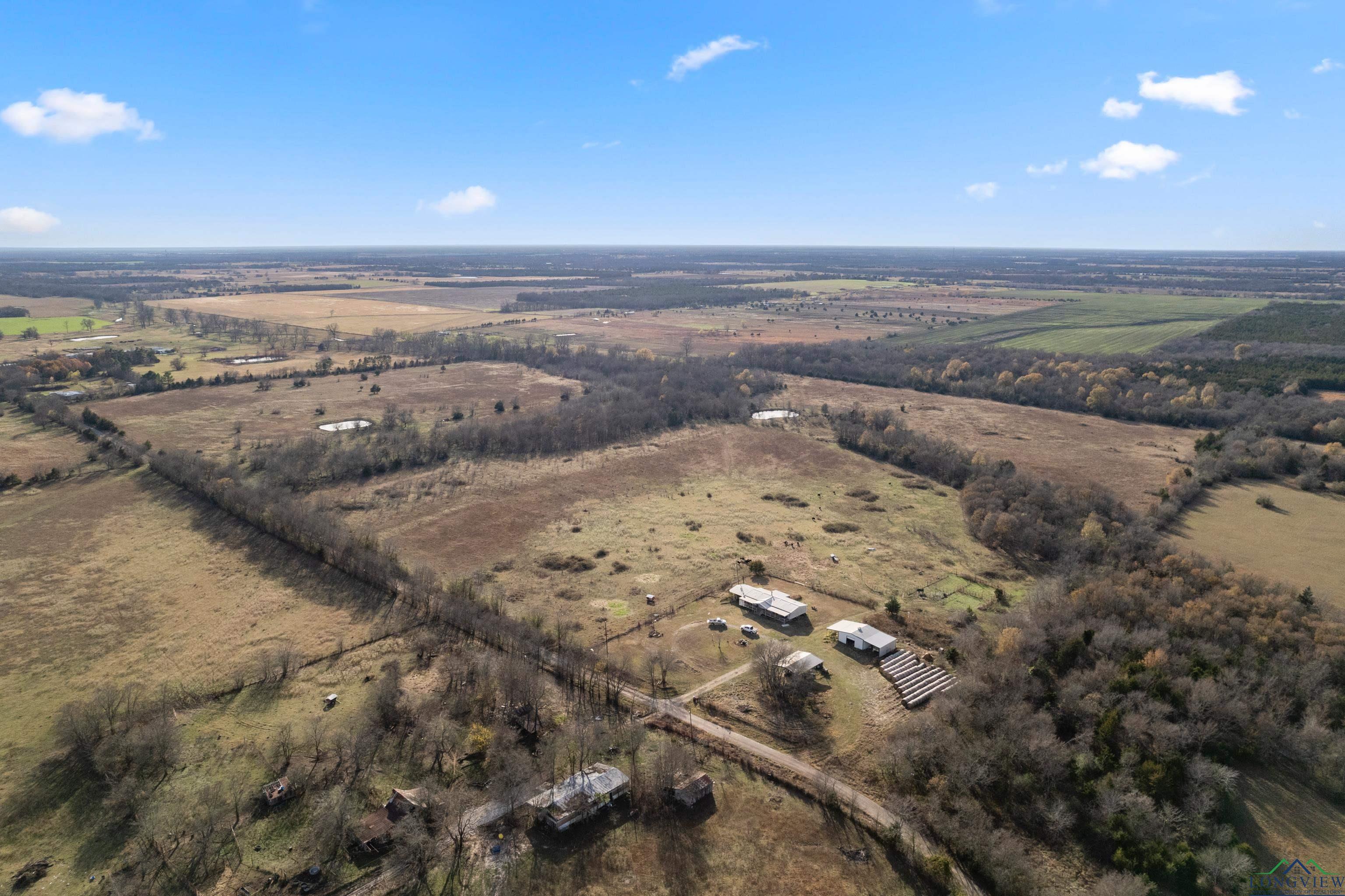 592 Cr 15160, Blossom, Texas image 13