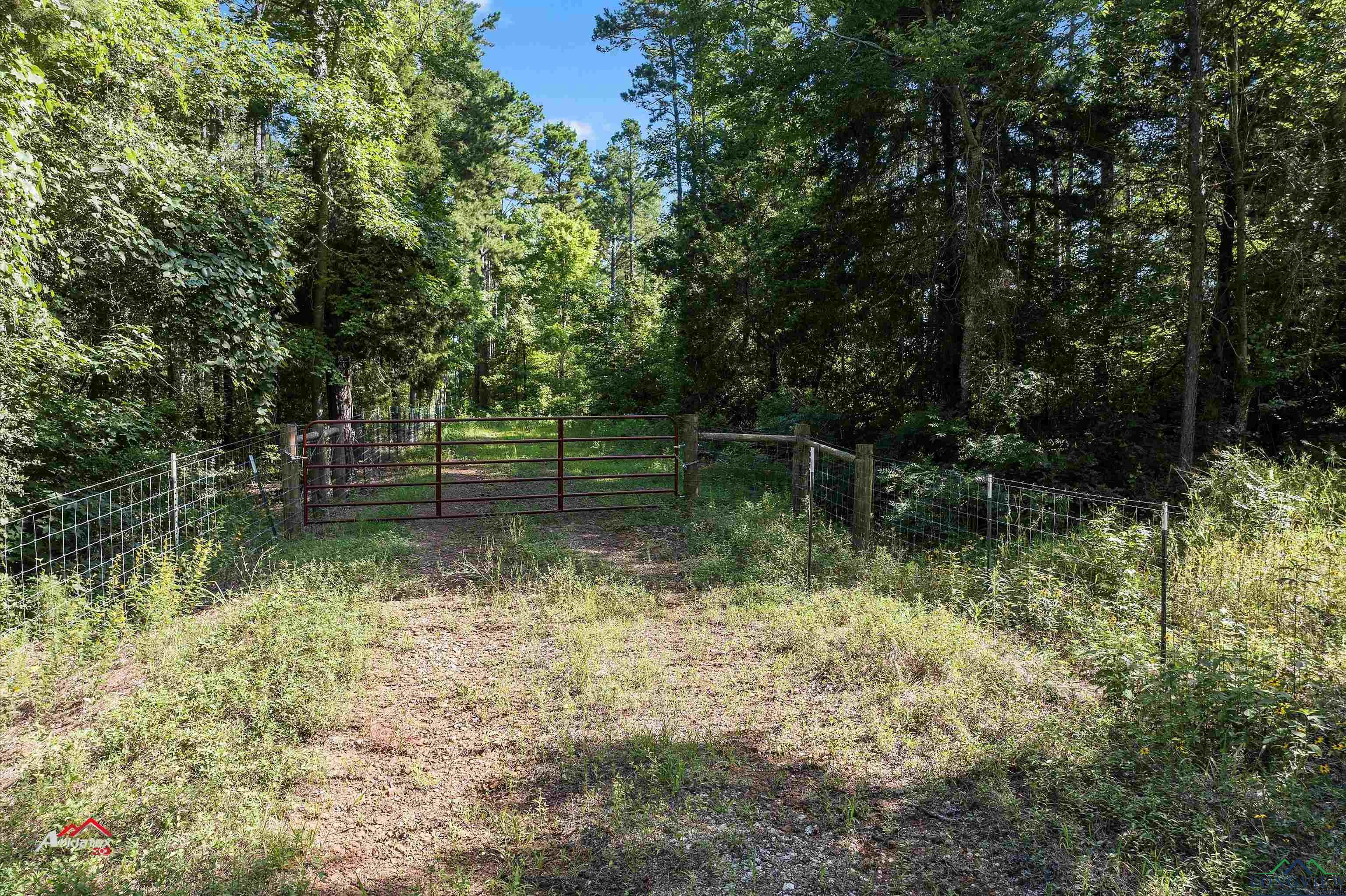 TBD Cr 442 D, Henderson, Texas image 12