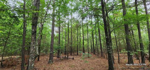 Vacant Land For Sale - Cr 3230<br/> Red River County, Clarksville, TX 75426