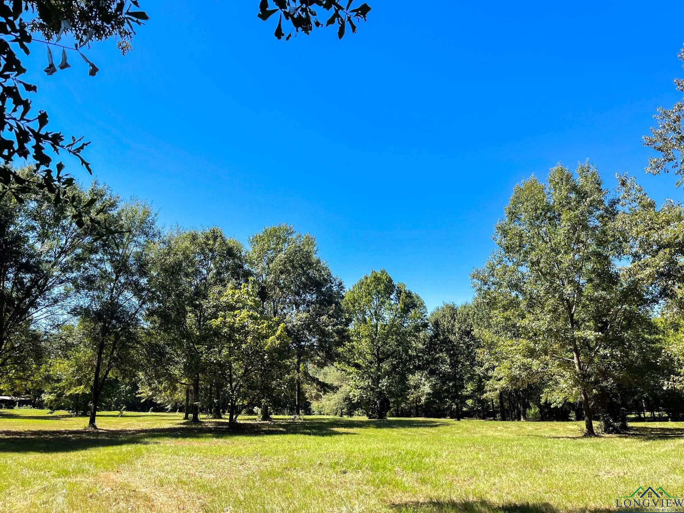 0000 Jefferson Street, Lone Star, Texas image 3