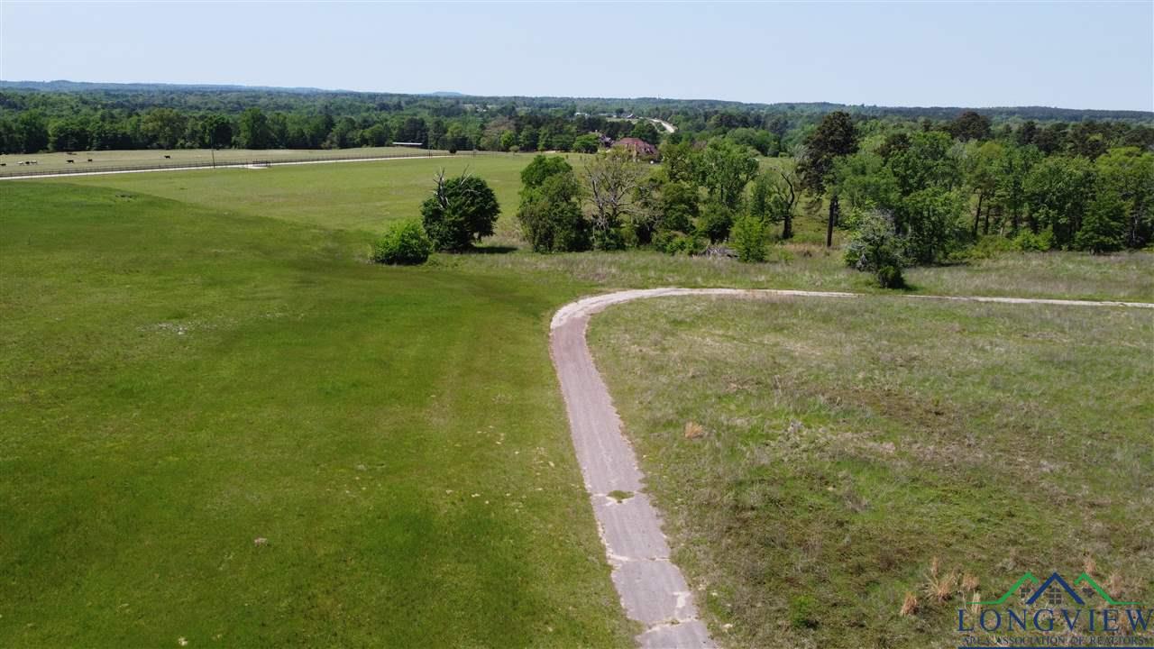 Tract 6 Hwy 259, Longview, Texas image 4