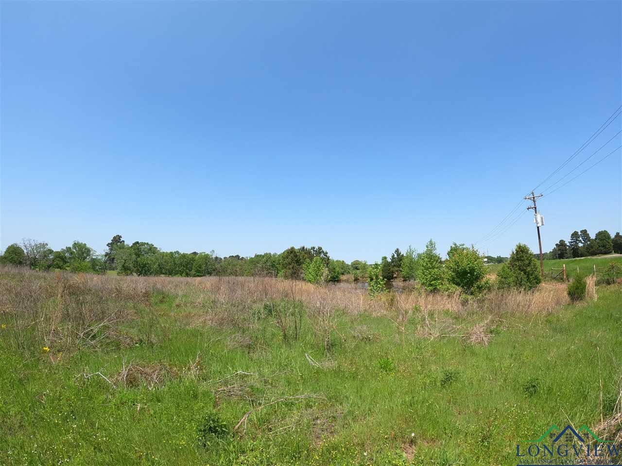 Tract 6 Hwy 259, Longview, Texas image 3