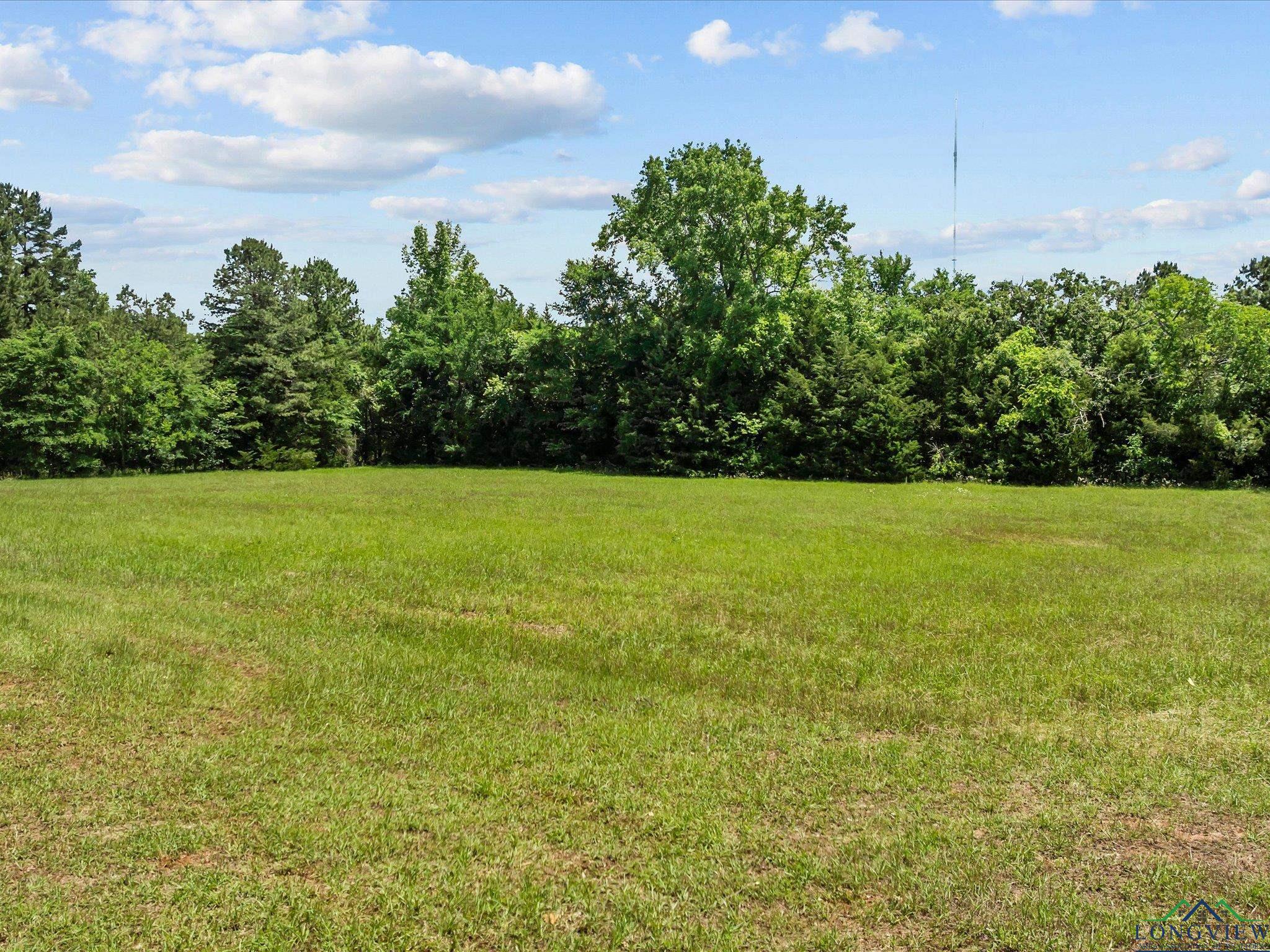 3695 Cr 3411, Jacksonville, Texas image 26