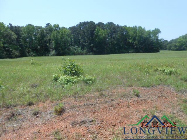 Lot 4 5.287 Cr 217, Henderson, Texas image 1