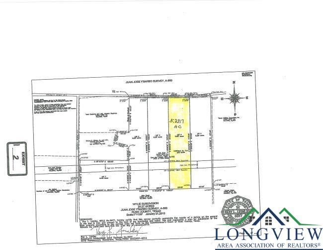 Lot 4 5.287 Cr 217, Henderson, Texas image 3