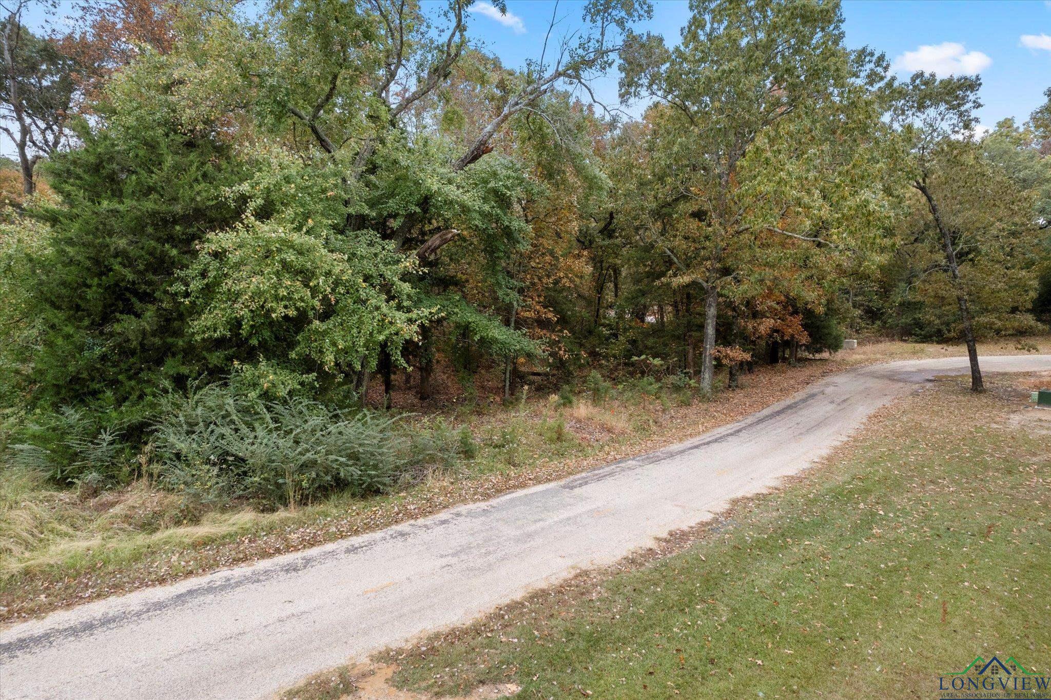 TBD Cr 2138, Pittsburg, Texas image 17