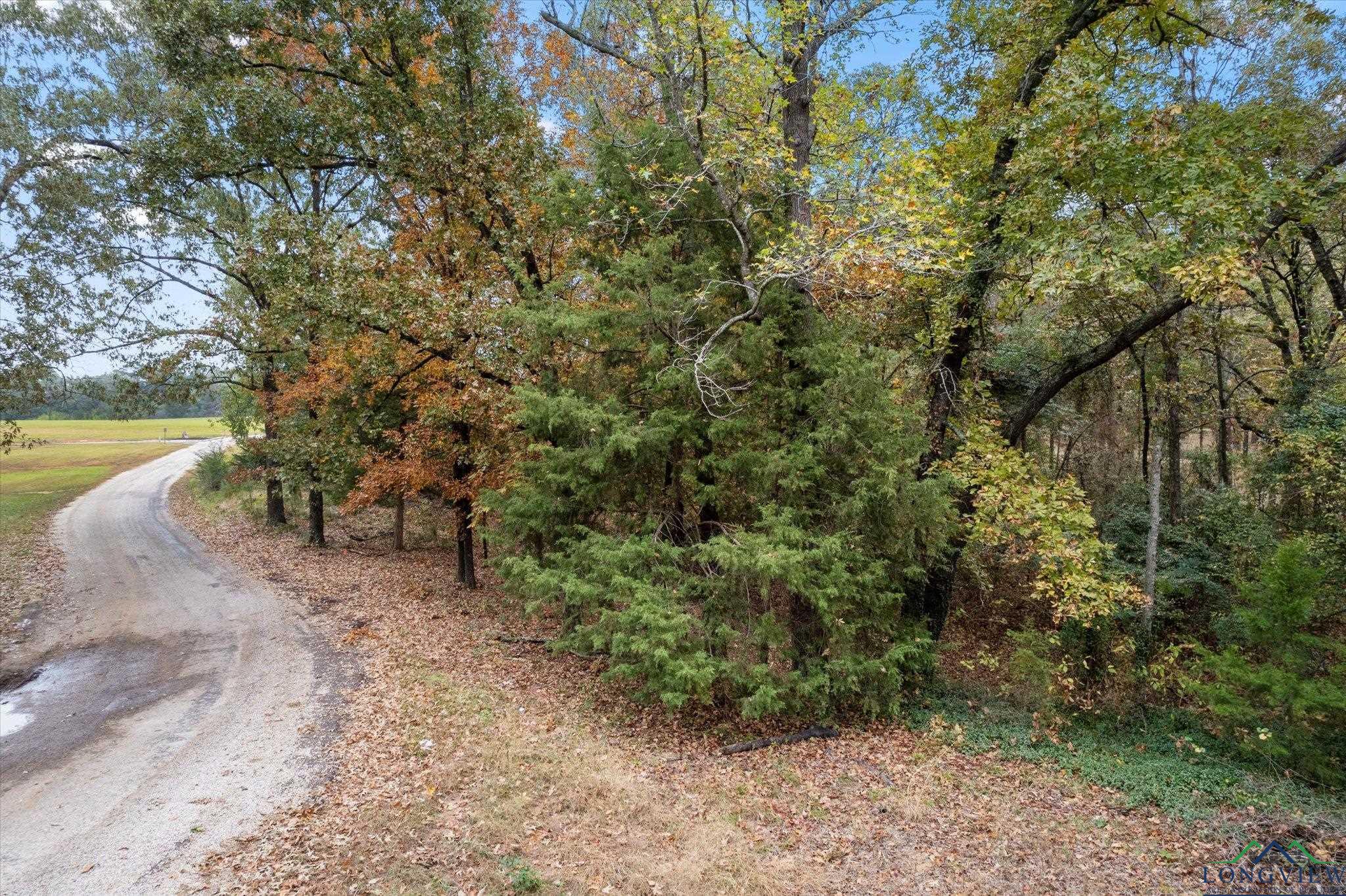 TBD Cr 2138, Pittsburg, Texas image 18