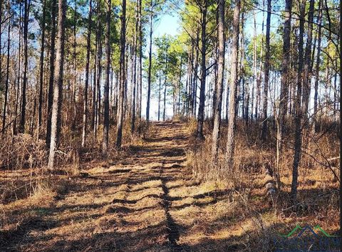 Vacant Land For Sale - TBD S Cr 451 D<br/> Laneville, TX 75667