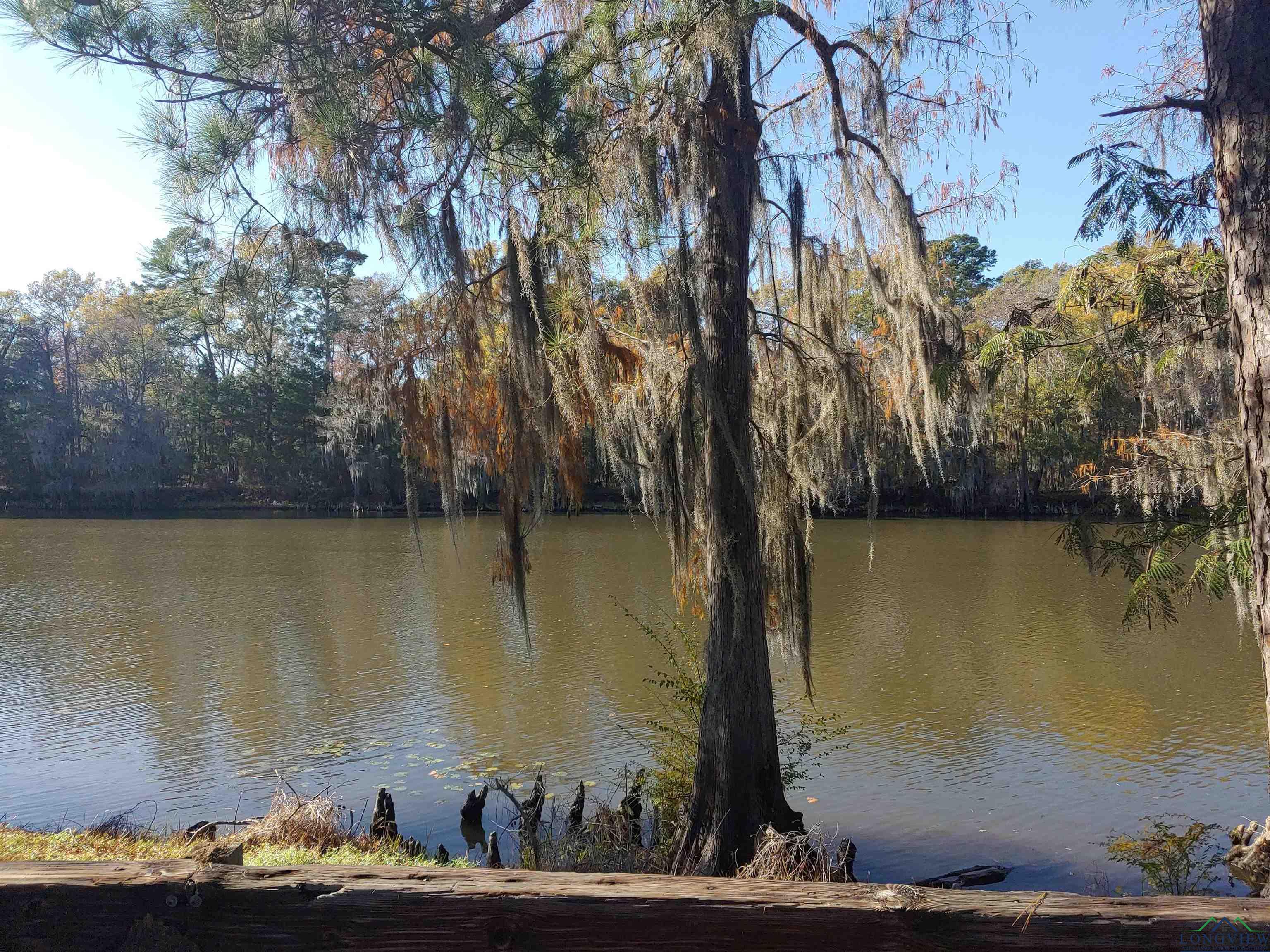 TBD Pine Island Road, Karnack, Texas image 3