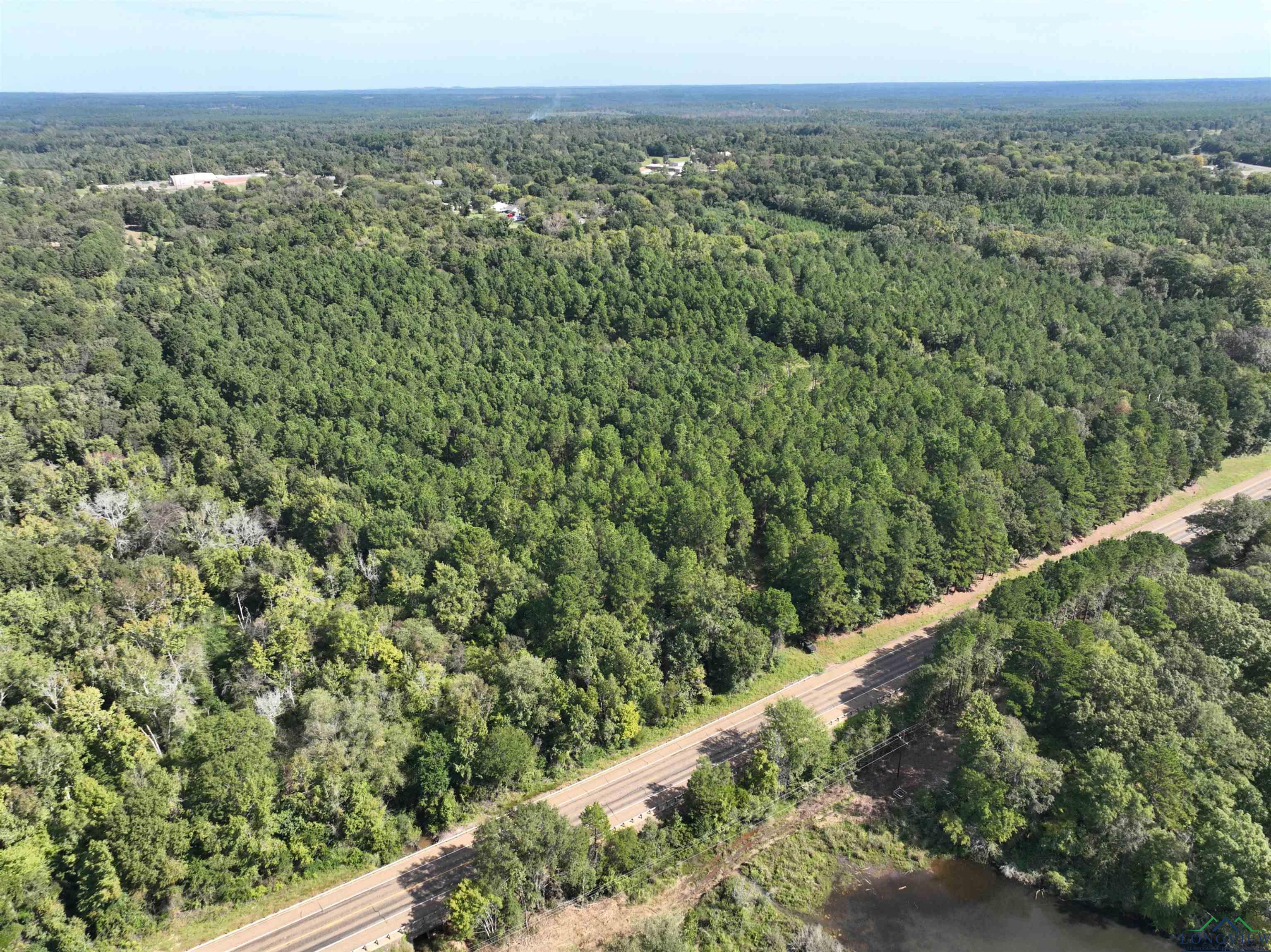 TBD Hwy 155 10 Acres, Avinger, Texas image 9