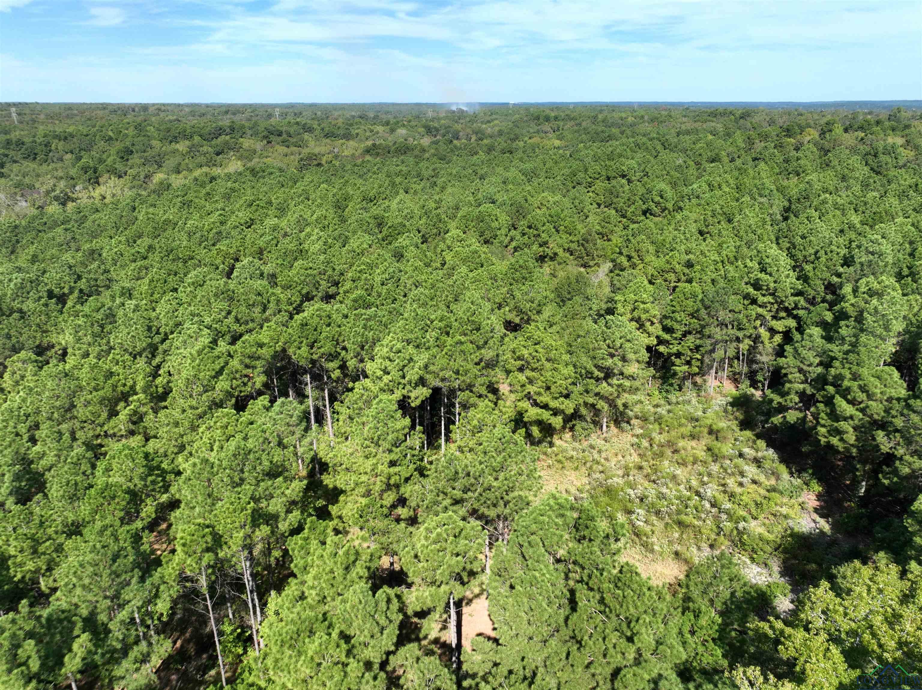 TBD Hwy 155 10 Acres, Avinger, Texas image 11