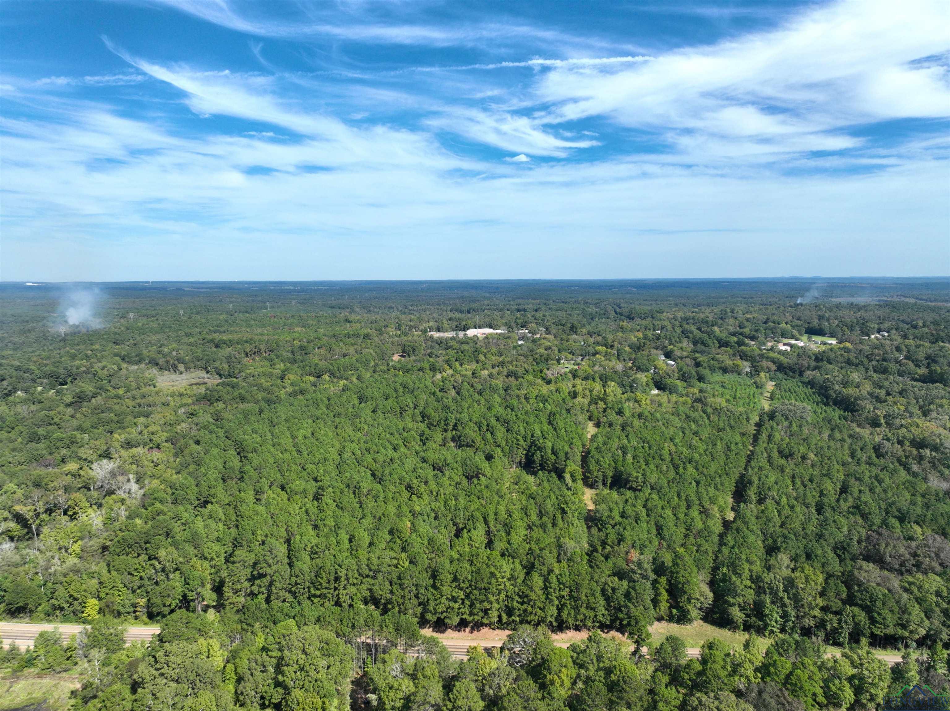 TBD Hwy 155 10 Acres, Avinger, Texas image 4