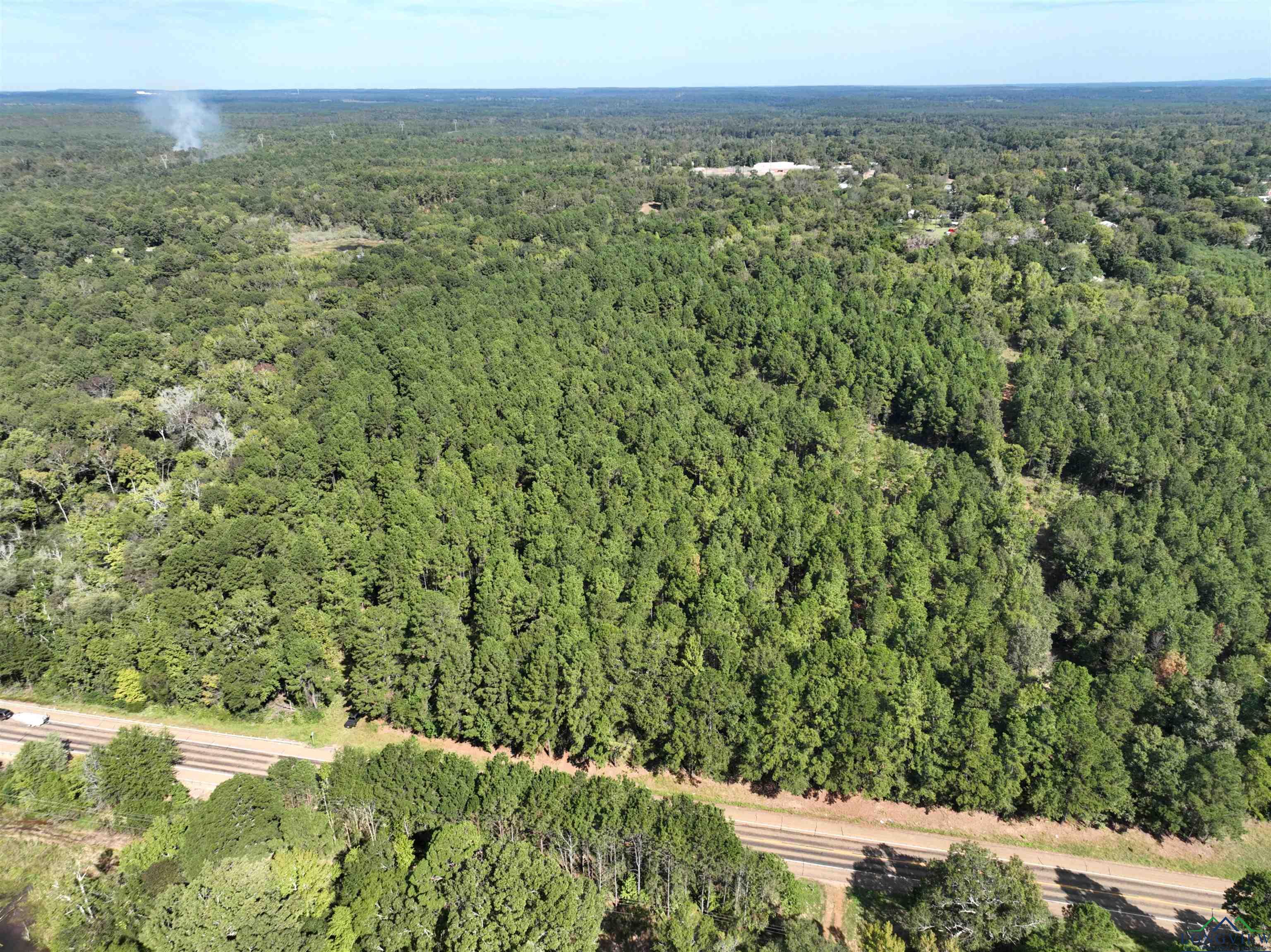 TBD Hwy 155 10 Acres, Avinger, Texas image 8