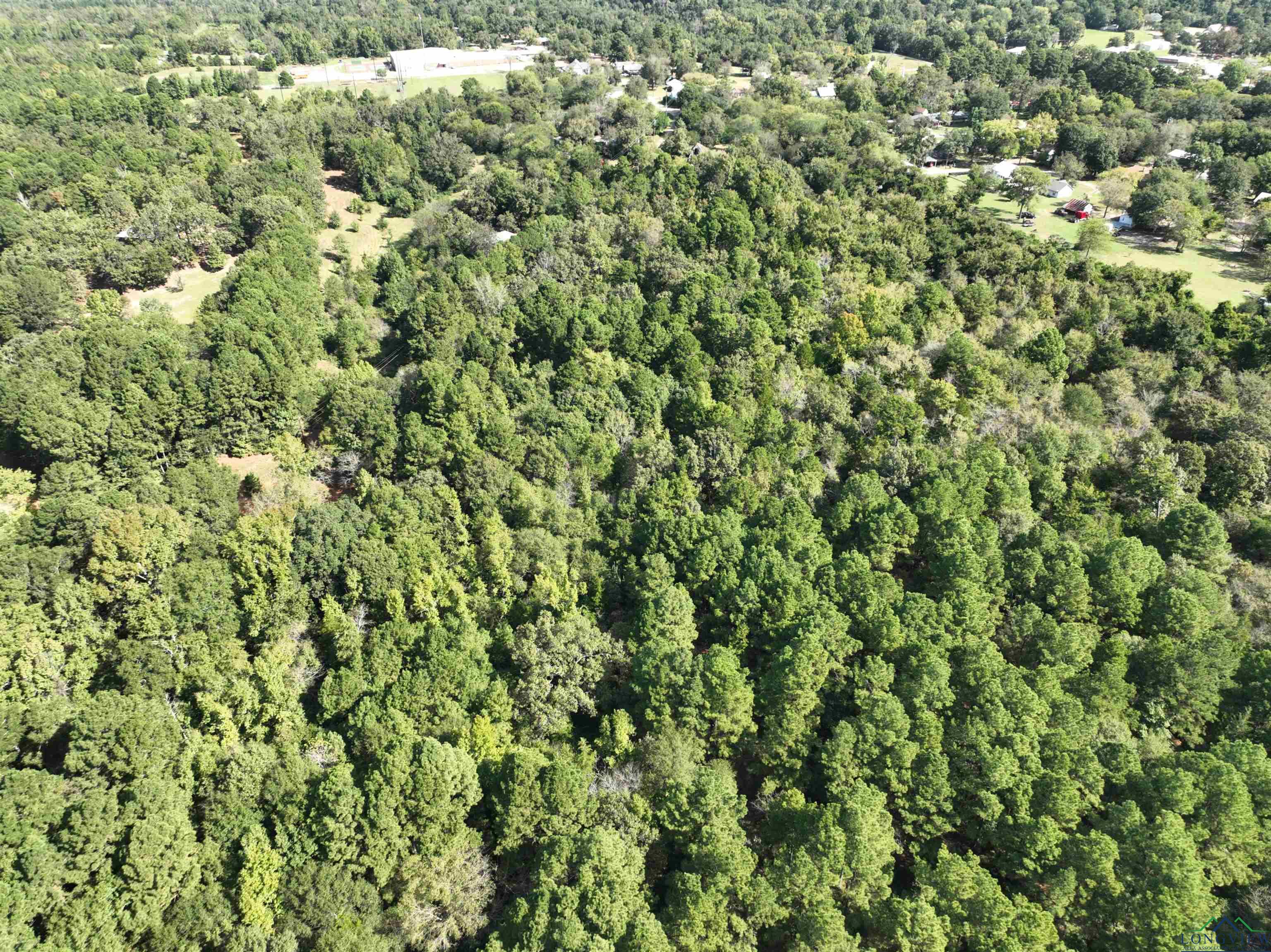 TBD Hwy 155 10 Acres, Avinger, Texas image 7