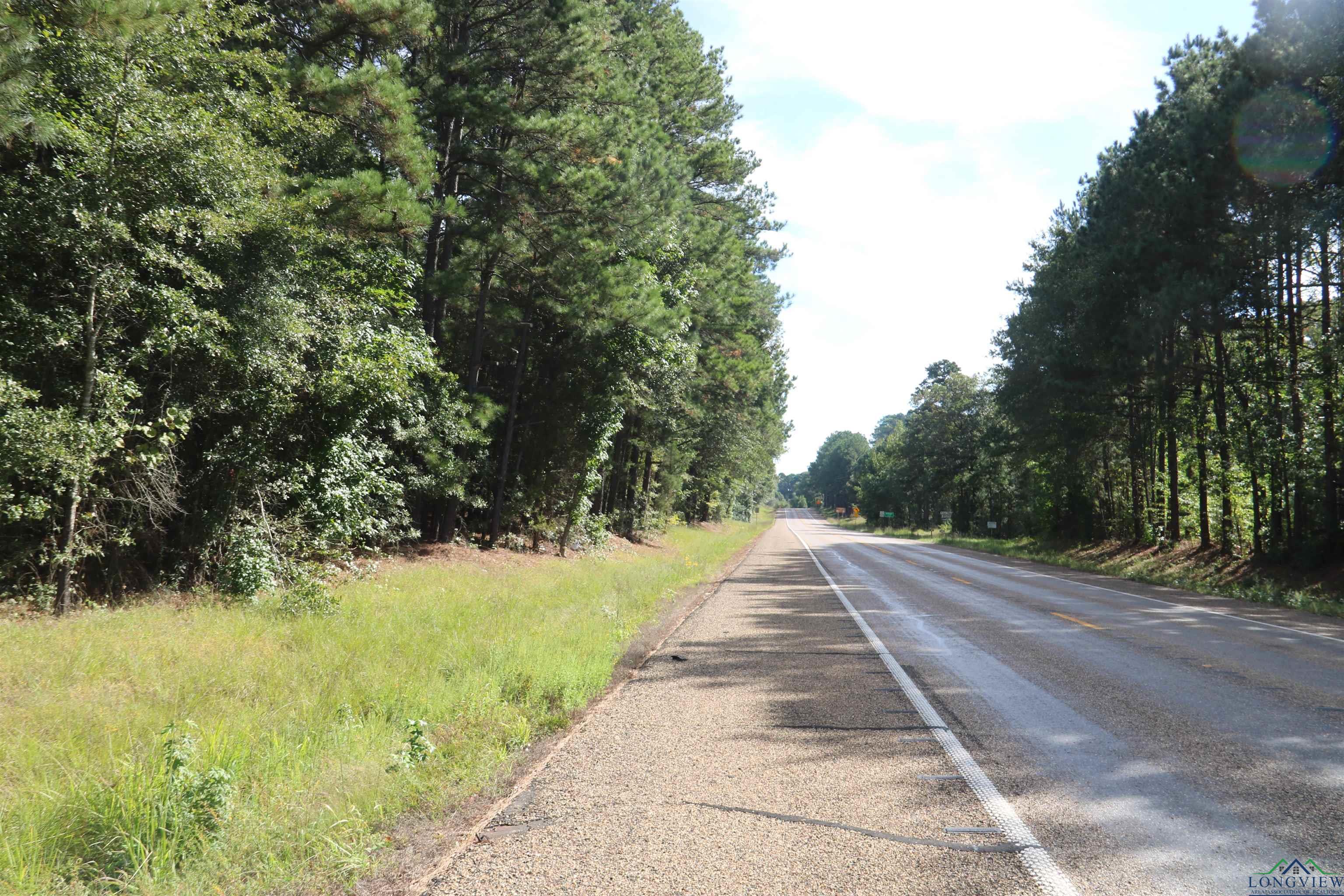 TBD Hwy 155 10 Acres, Avinger, Texas image 2