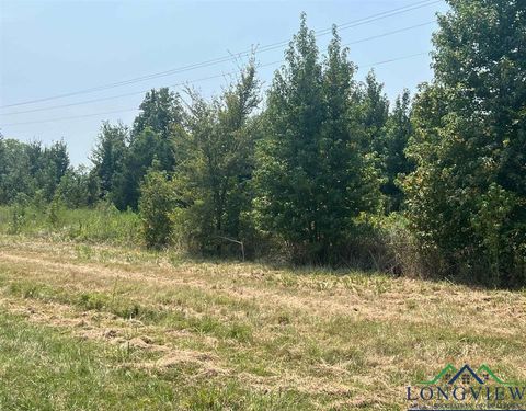 Vacant Land For Sale - TBD Fm 1402<br/> Mount Pleasant, TX 75455