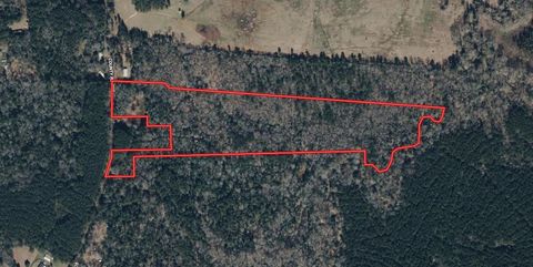 Vacant Land For Sale - 406 County Road 2115<br/> Shelby County, Shelbyville, TX 75973