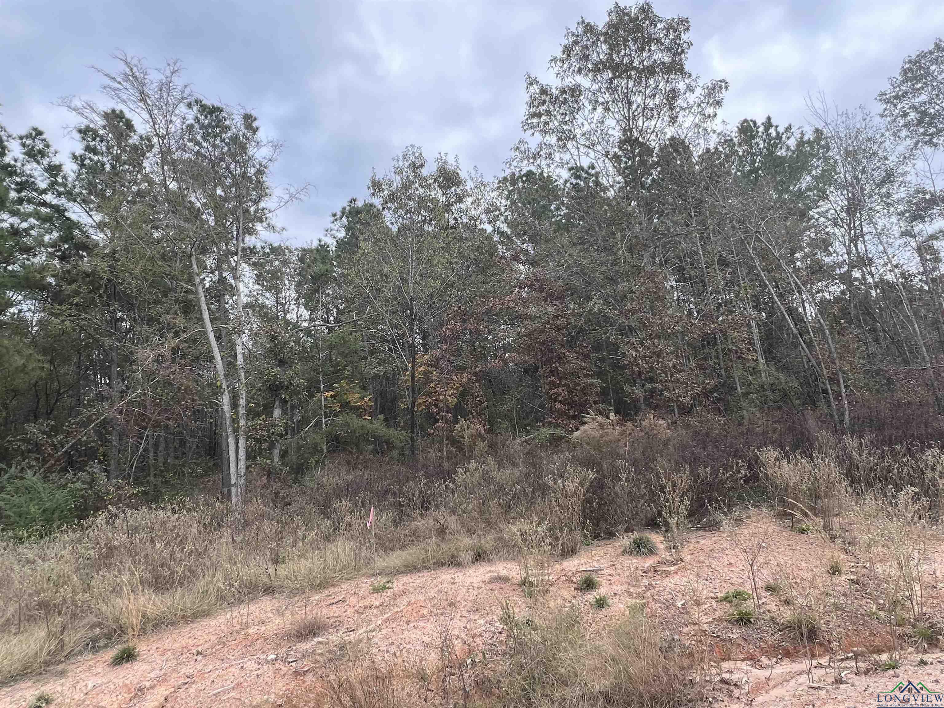 LOT #3 Tbd Bluebird Rd, Gilmer, Texas image 8