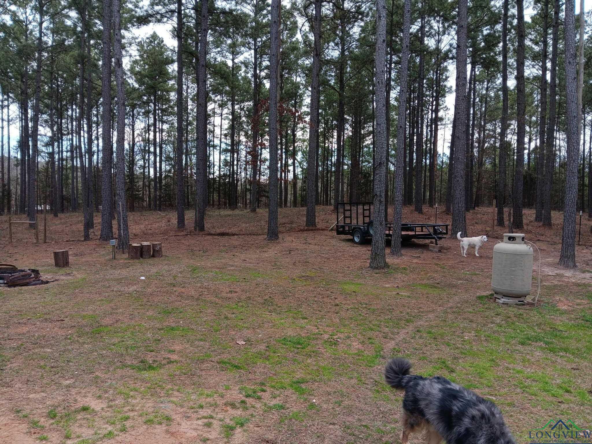4289 Pr 4324, Pittsburg, Texas image 32