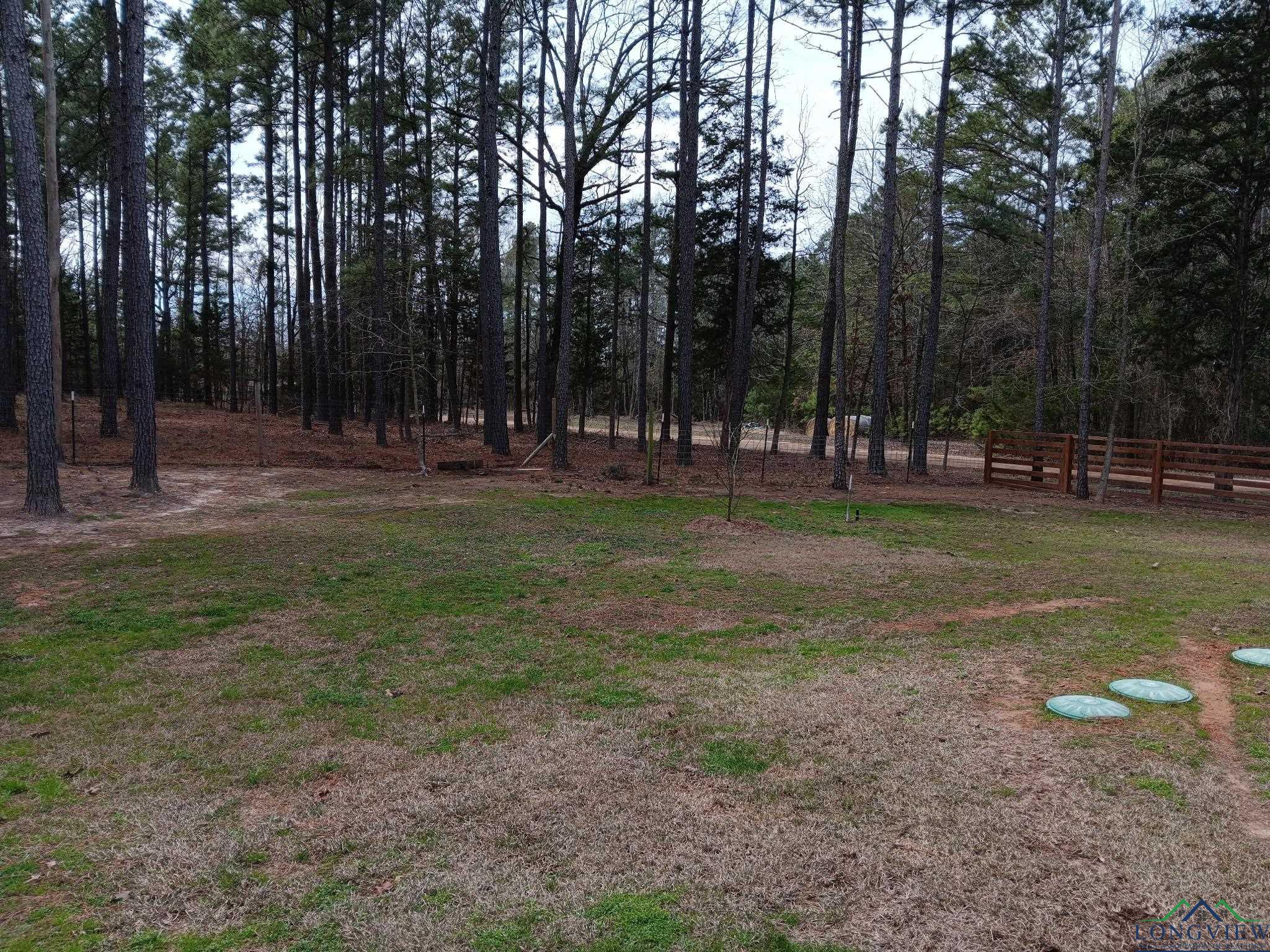 4289 Pr 4324, Pittsburg, Texas image 33