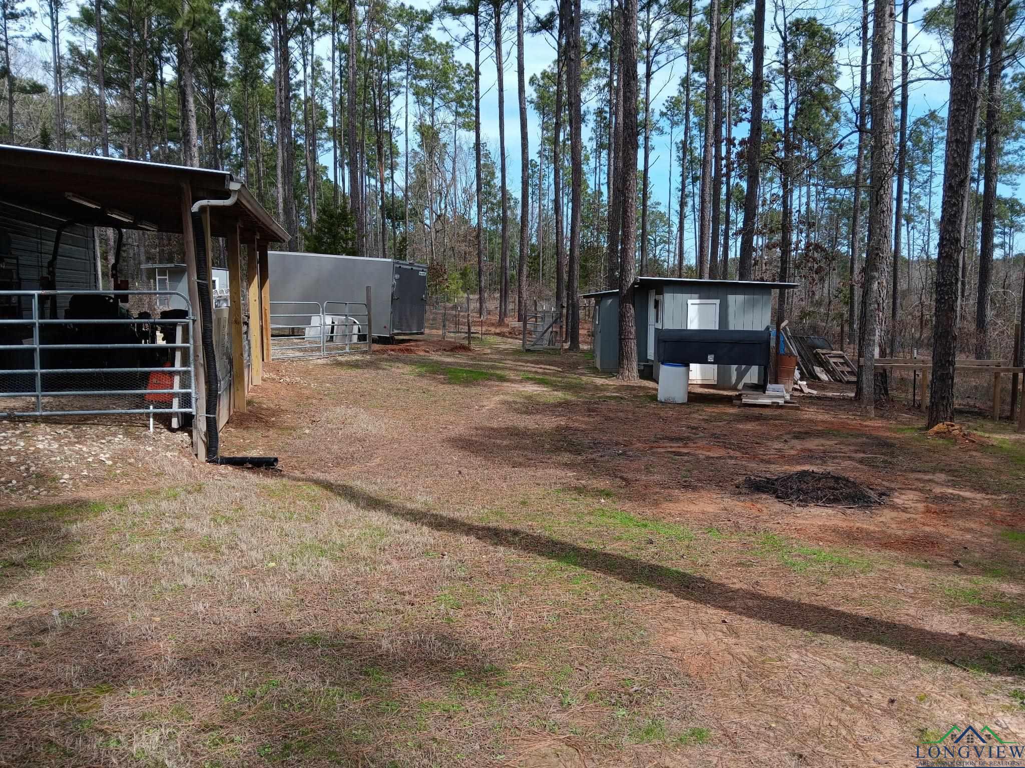 4289 Pr 4324, Pittsburg, Texas image 30