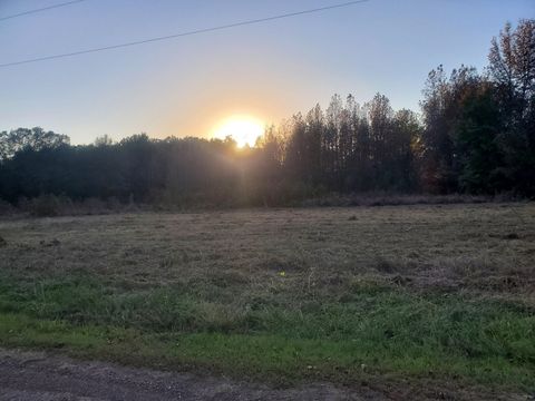Vacant Land For Sale - 2350 Davis Rd<br/> Morris County, Omaha, TX 75571