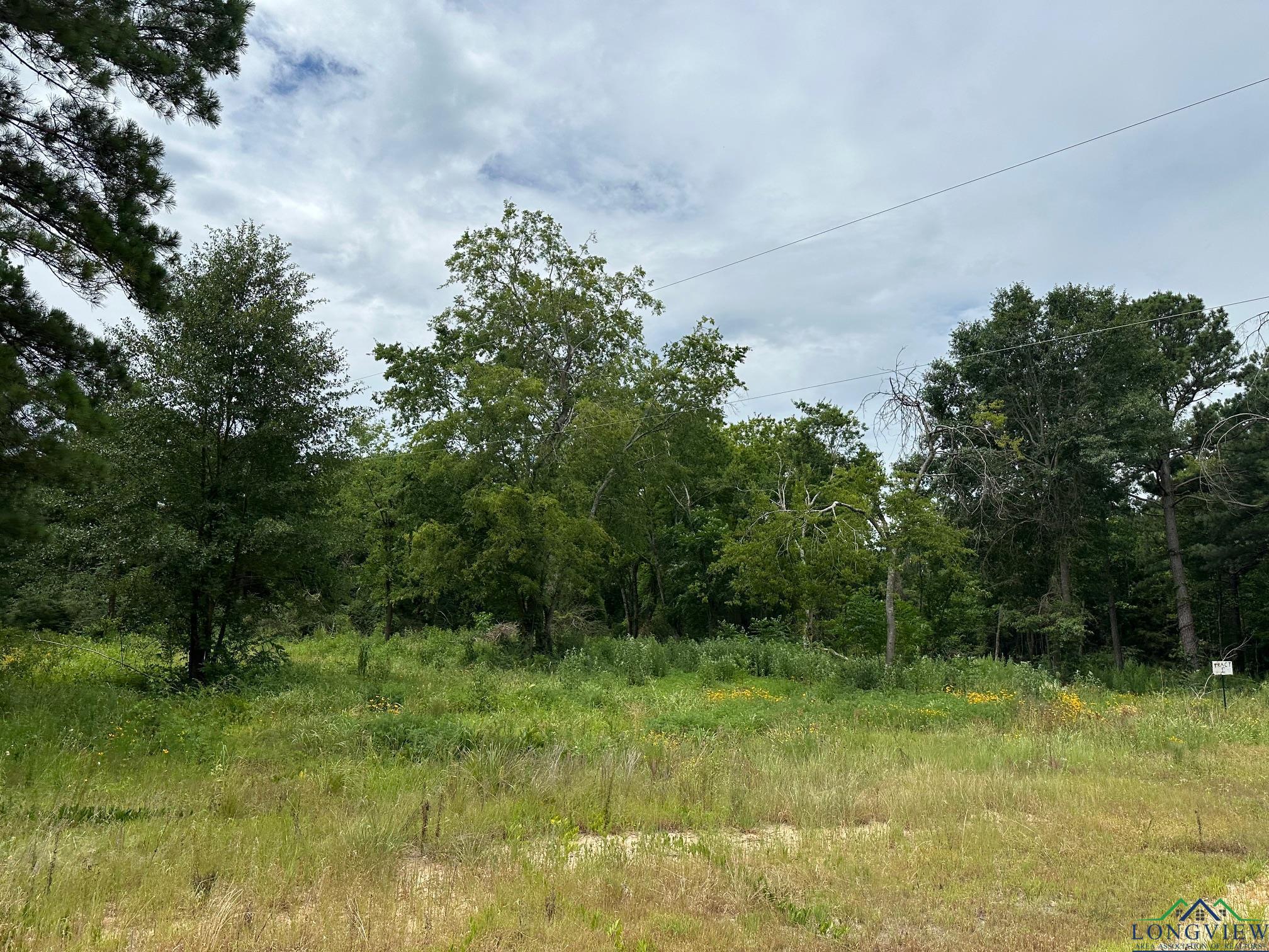 TBD Shiloh Rd Tract 1, White Oak, Texas image 1