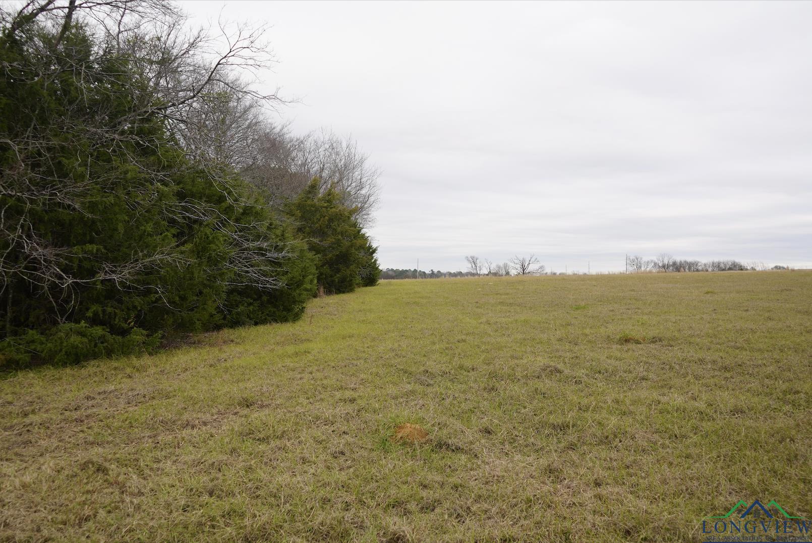 TBD Chestnut Rd, Big Sandy, Texas image 1