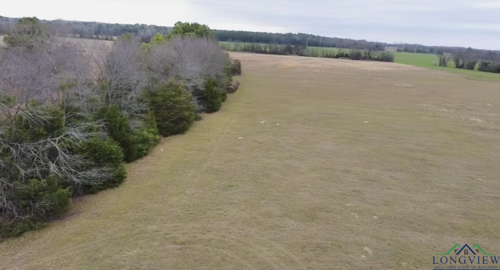 TBD Chestnut Rd, Big Sandy, Texas image 3