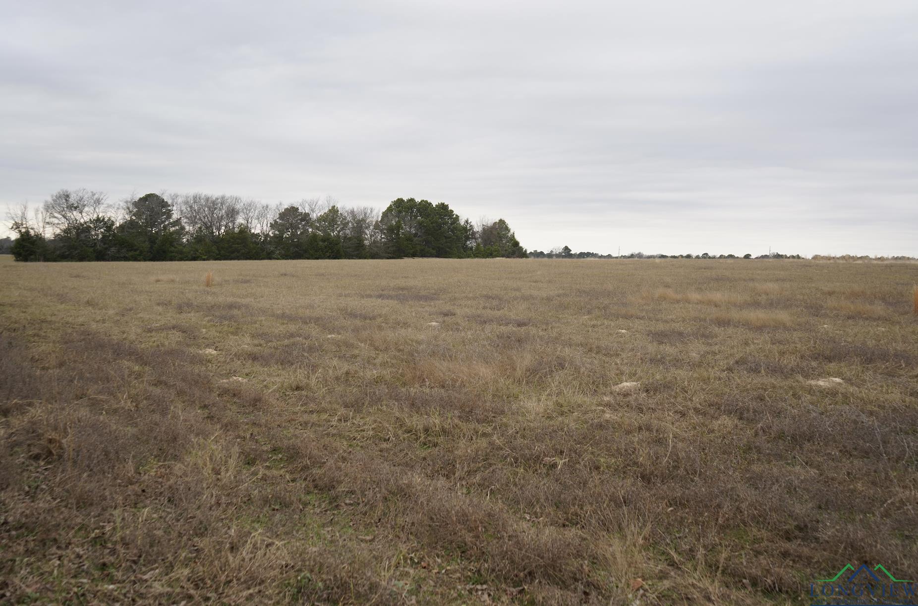 TBD Chestnut Rd, Big Sandy, Texas image 5