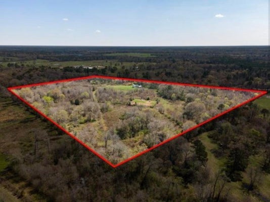 1800 STATE HIGHWAY 315, CARTHAGE, TX 75633 - Image d380427dcff42af1025f0ece997724ea/3397741110