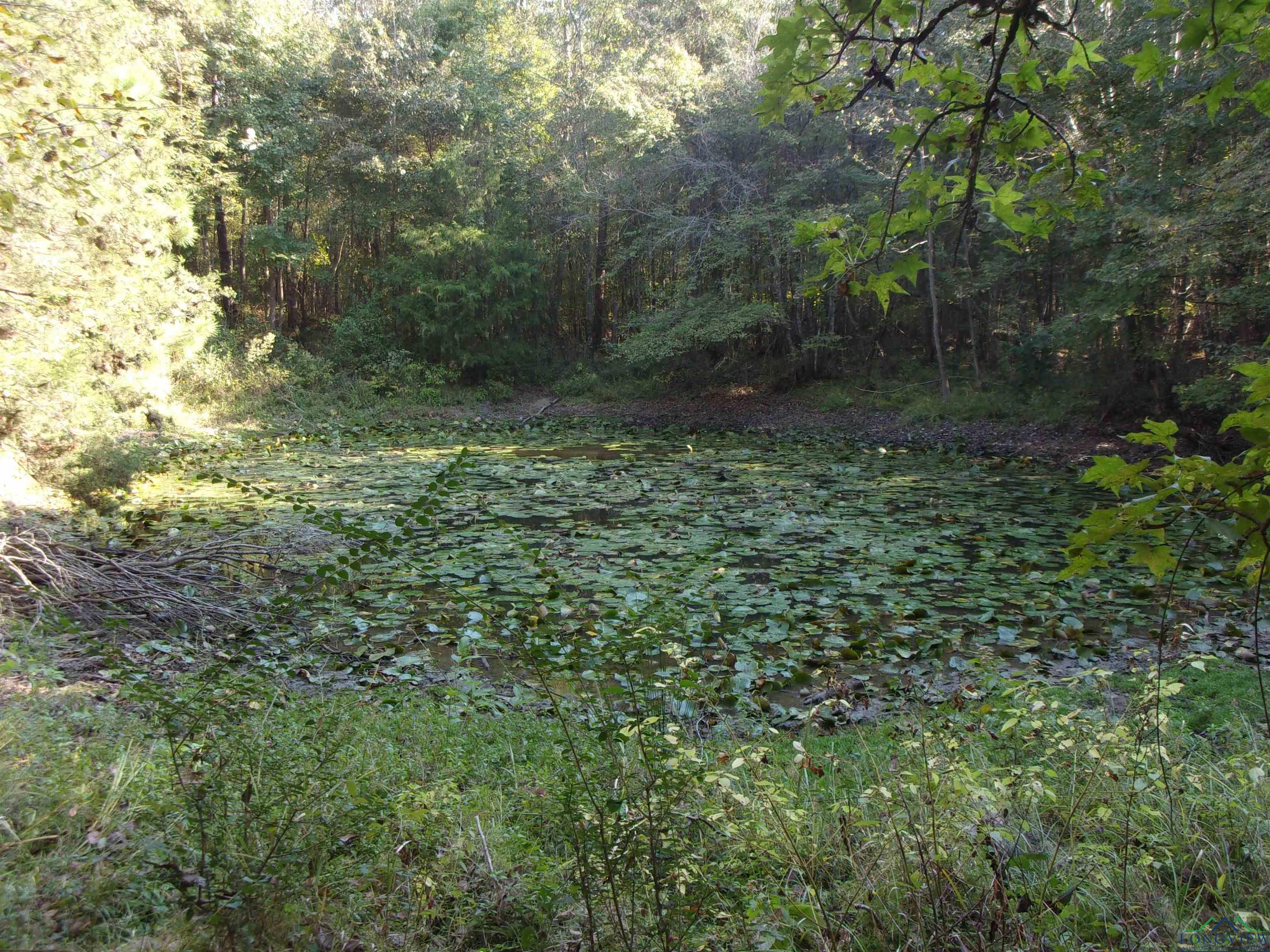 Fm 805, Jefferson, Texas image 9