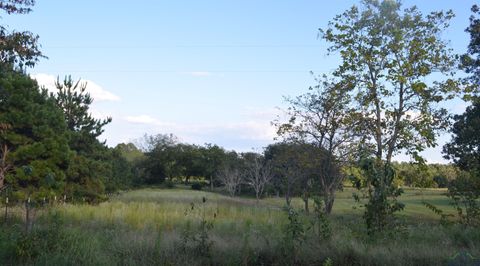 Vacant Land For Sale - 6539 S County Road 401<br/> Henderson, TX 75652