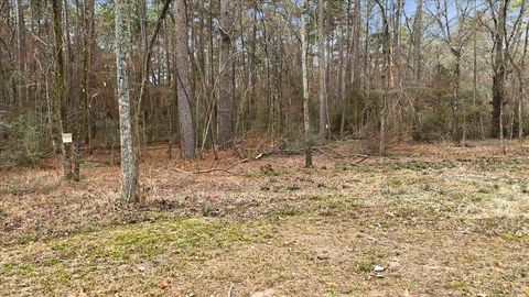 Vacant Land For Sale - 12174 S Cr 3153<br/> Mount Enterprise, TX 75681