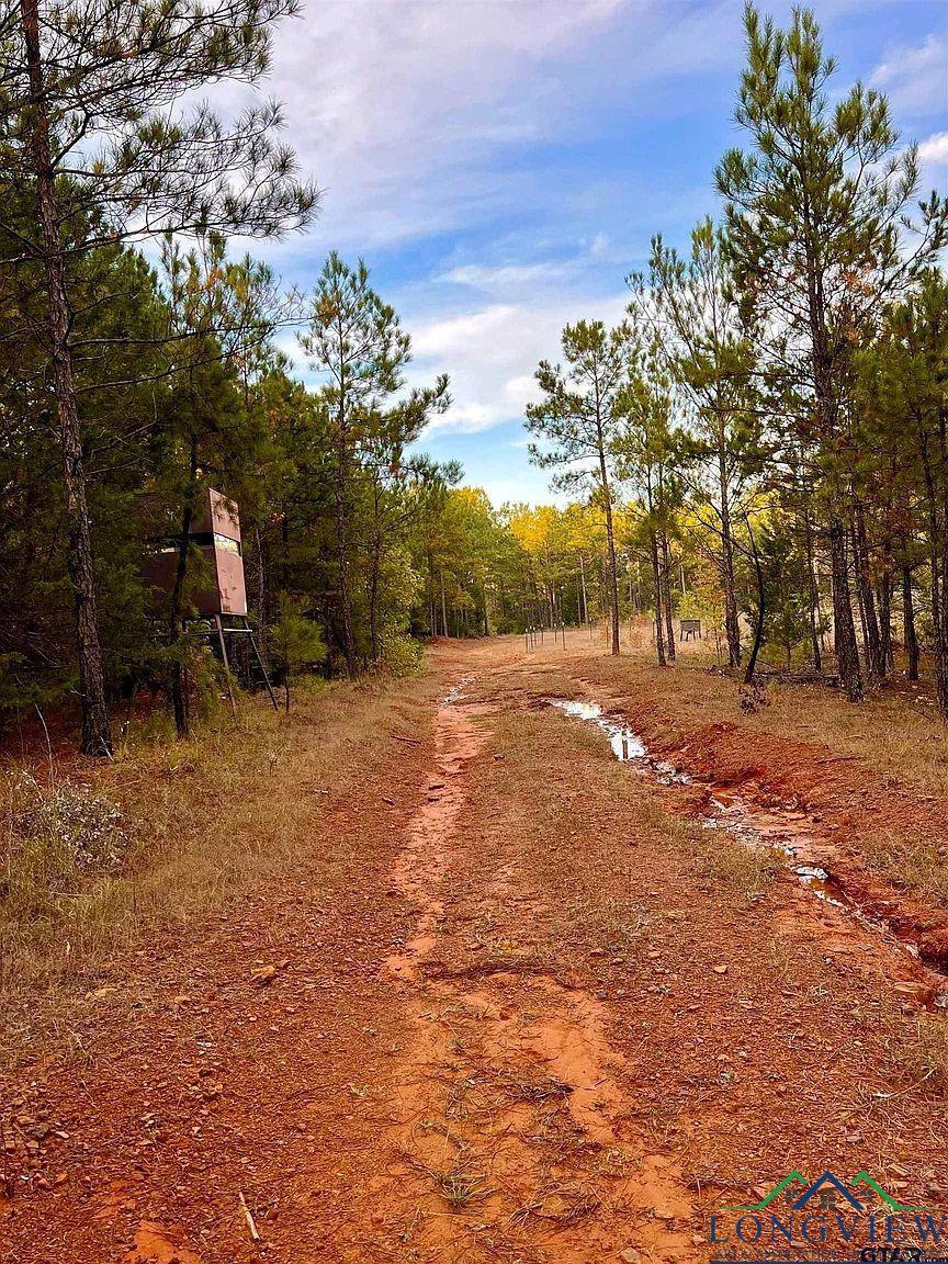 TBD Fm 161 S, Hughes Springs, Texas image 23