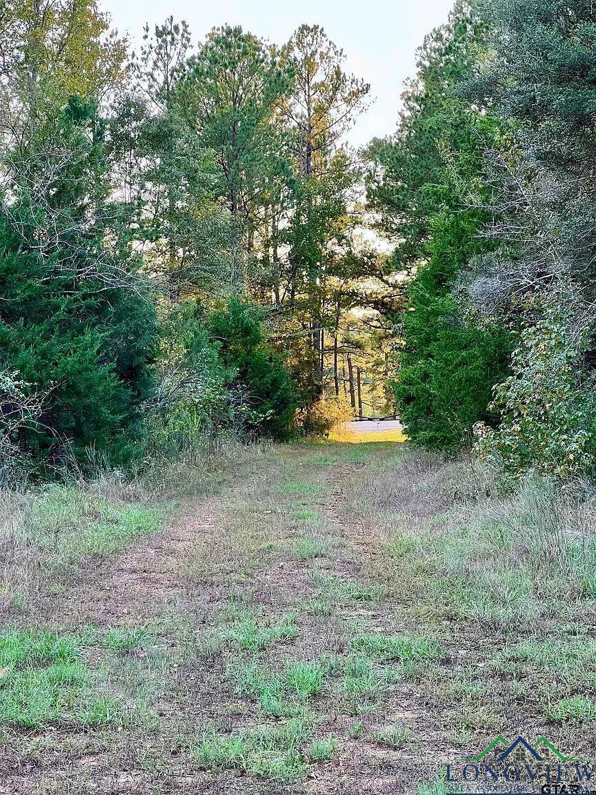 TBD Fm 161 S, Hughes Springs, Texas image 8