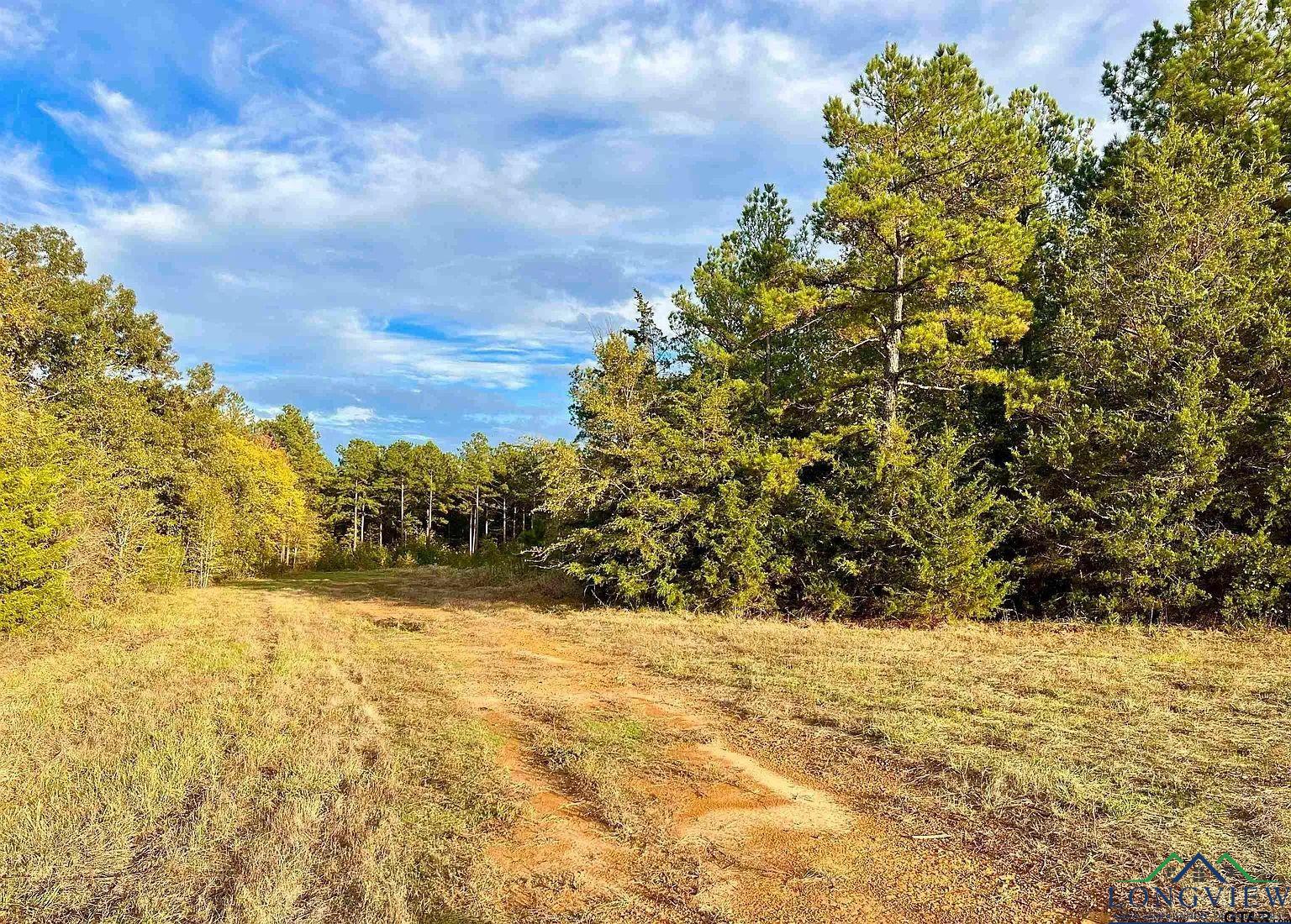 TBD Fm 161 S, Hughes Springs, Texas image 21