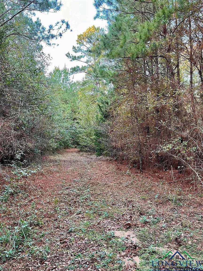 TBD Fm 161 S, Hughes Springs, Texas image 5