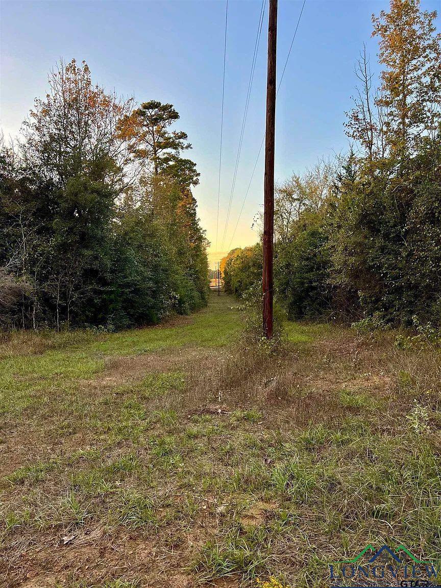 TBD Fm 161 S, Hughes Springs, Texas image 7