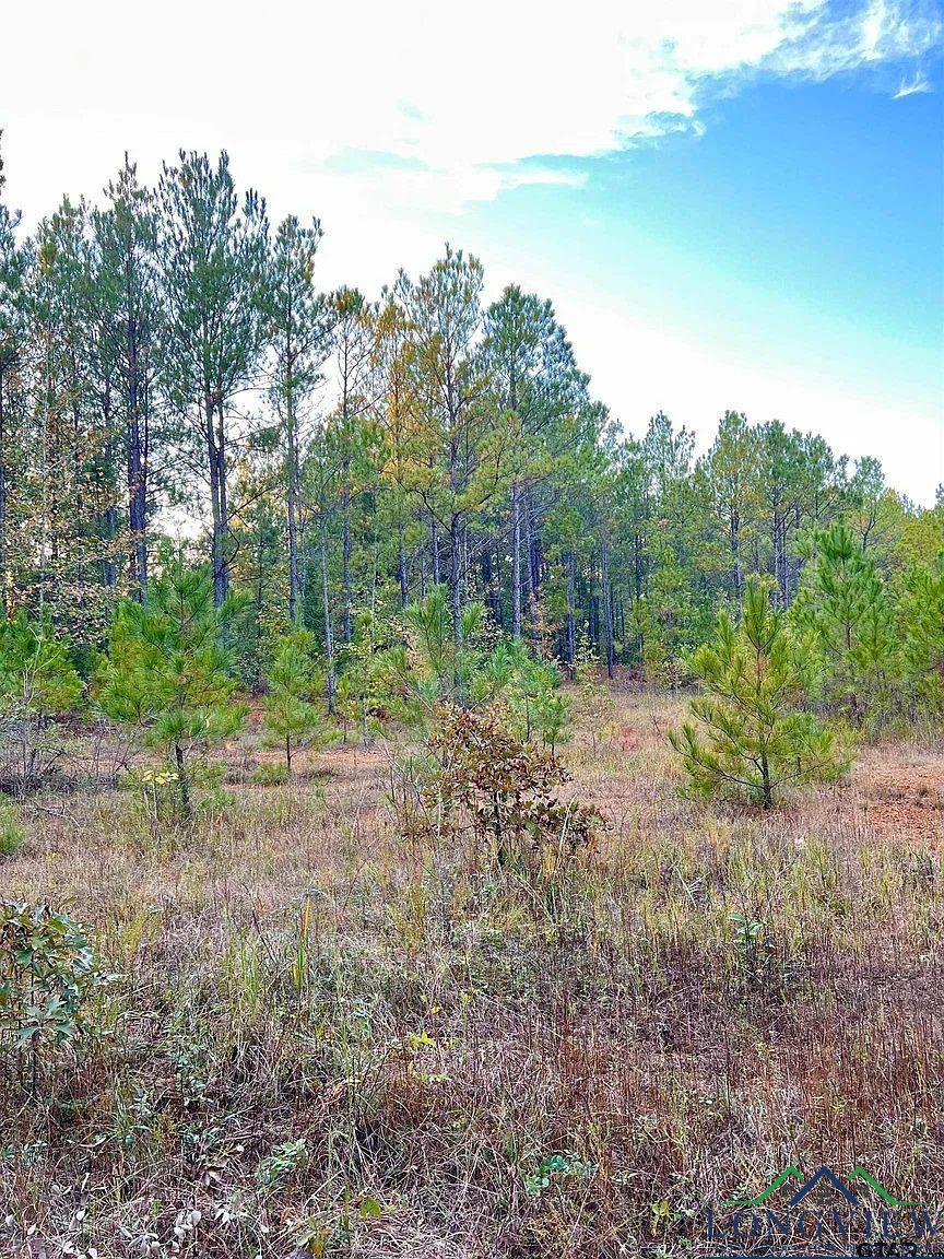 TBD Fm 161 S, Hughes Springs, Texas image 10