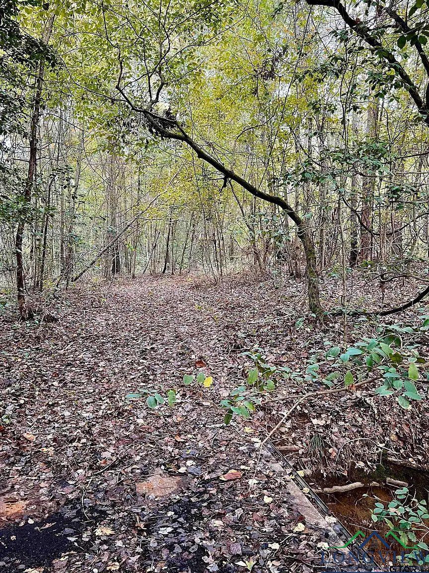 TBD Fm 161 S, Hughes Springs, Texas image 13
