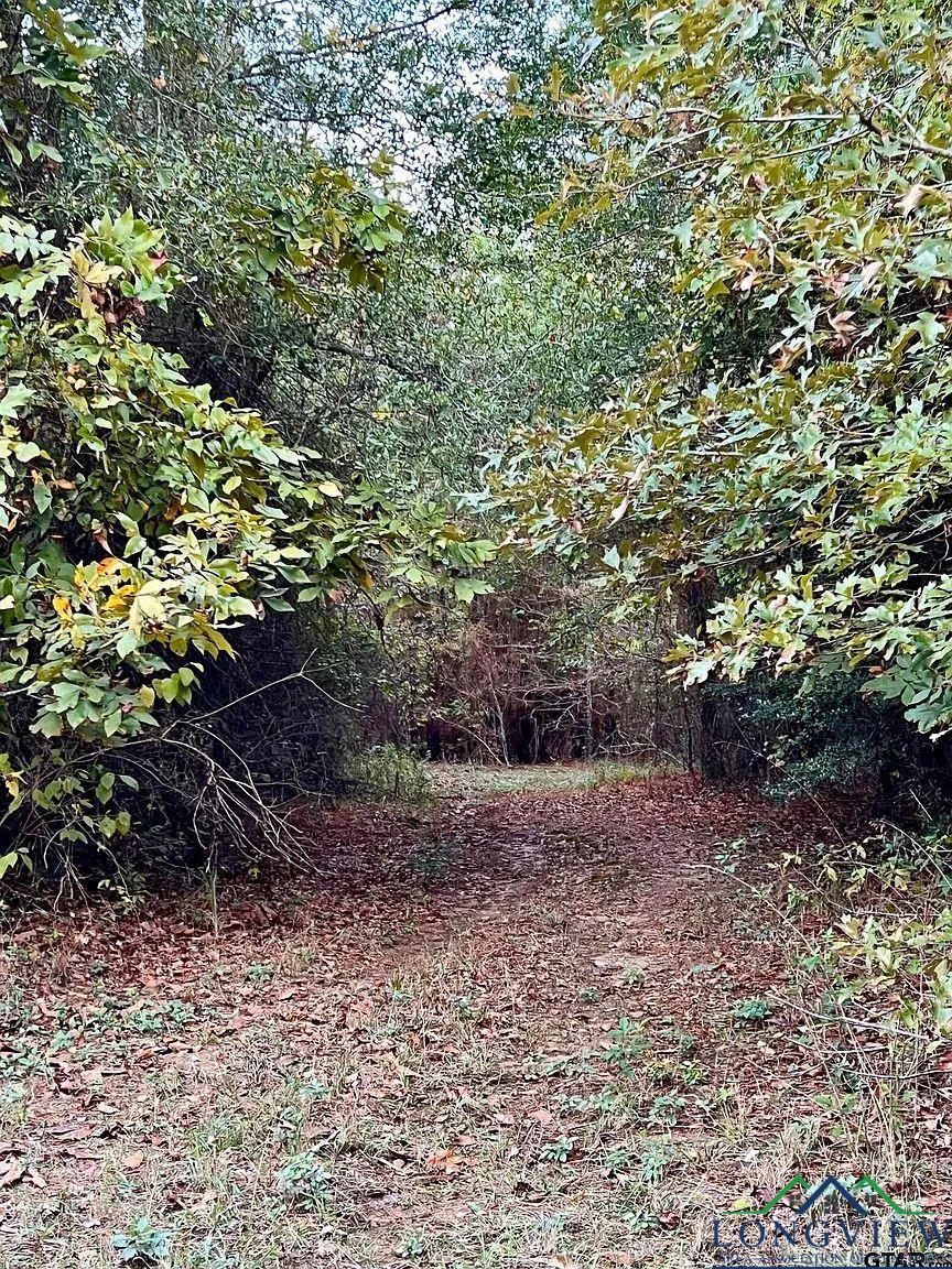 TBD Fm 161 S, Hughes Springs, Texas image 6