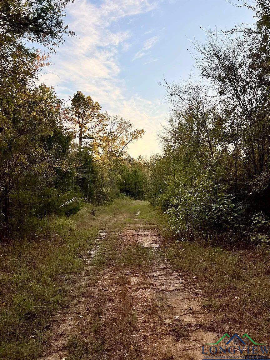 TBD Fm 161 S, Hughes Springs, Texas image 9