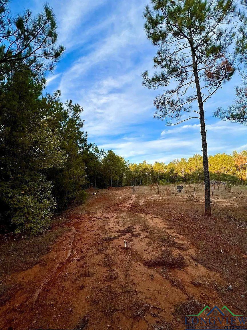 TBD Fm 161 S, Hughes Springs, Texas image 16