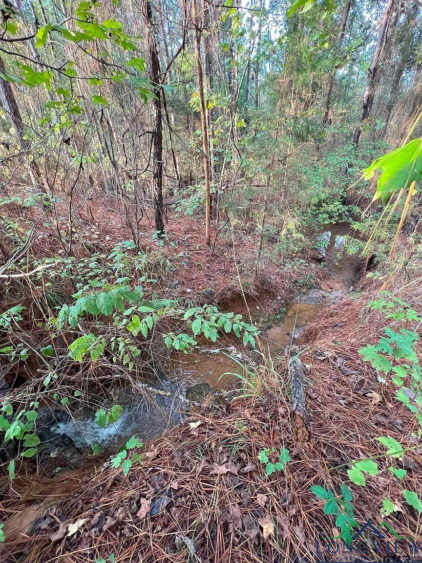 TBD Fm 161 S, Hughes Springs, Texas image 17