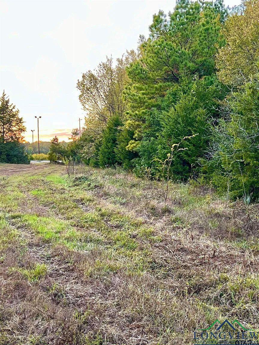 TBD Fm 161 S, Hughes Springs, Texas image 3